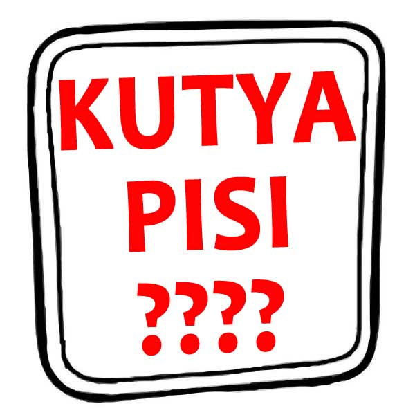 Kérdések a kutya pisiről tábla